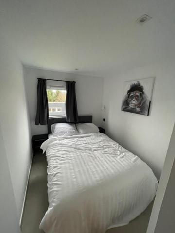 فيلا Terrasse De Malmedy, Triplex 243 المظهر الخارجي الصورة