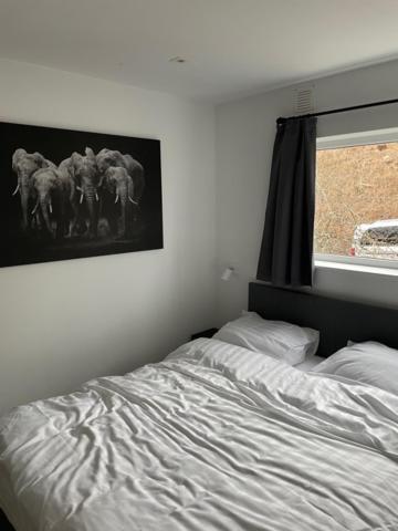 فيلا Terrasse De Malmedy, Triplex 243 المظهر الخارجي الصورة